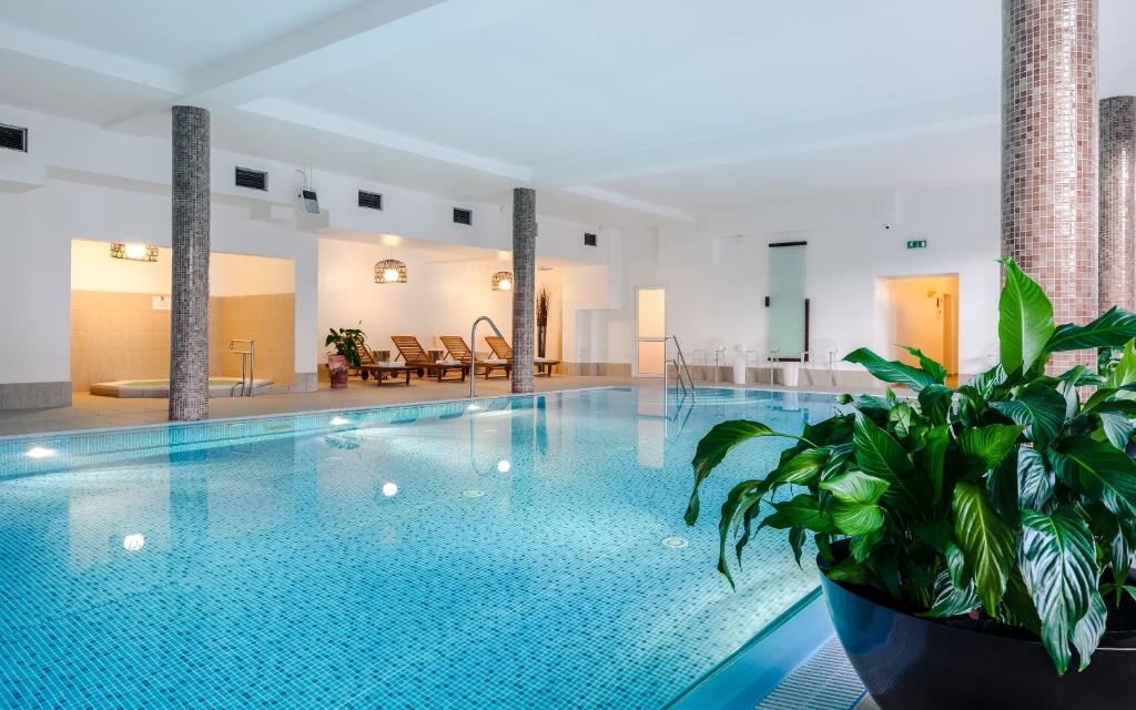 斯克拉斯卡波伦巴Boutique Eco Hotel Sasanka的一座建筑物内一座带盆栽植物的游泳池