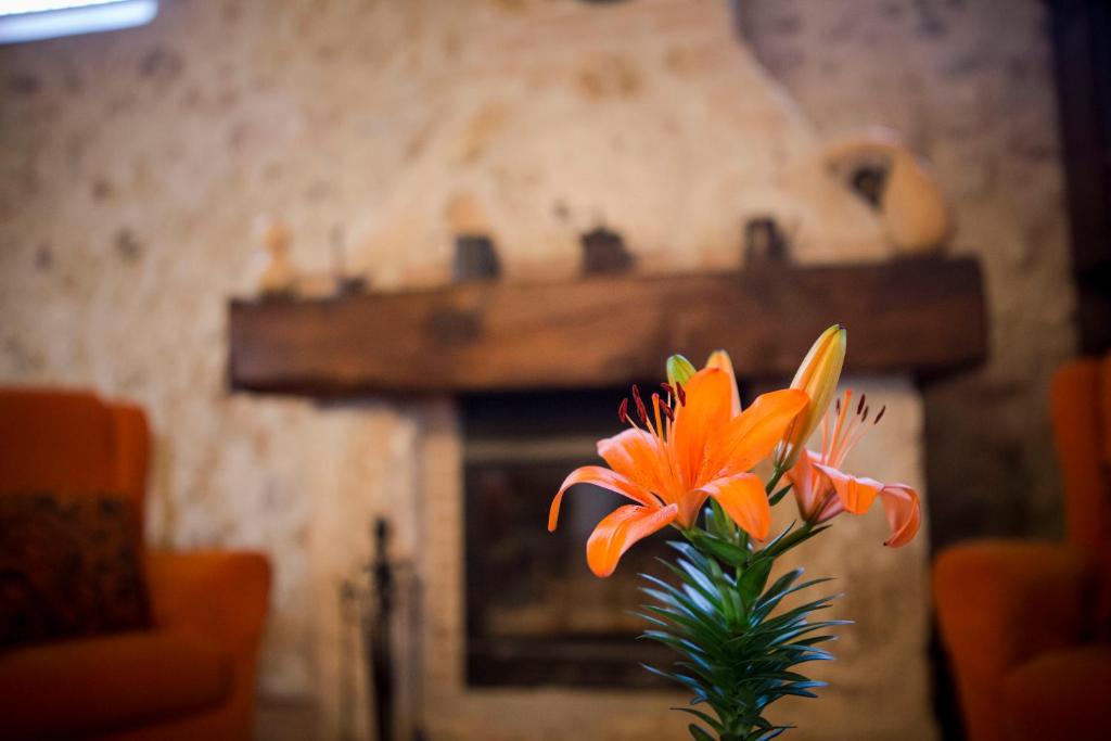 贝尔蒙特Casa Rural Casona la Beltraneja的壁炉前的花瓶,花朵呈橙色