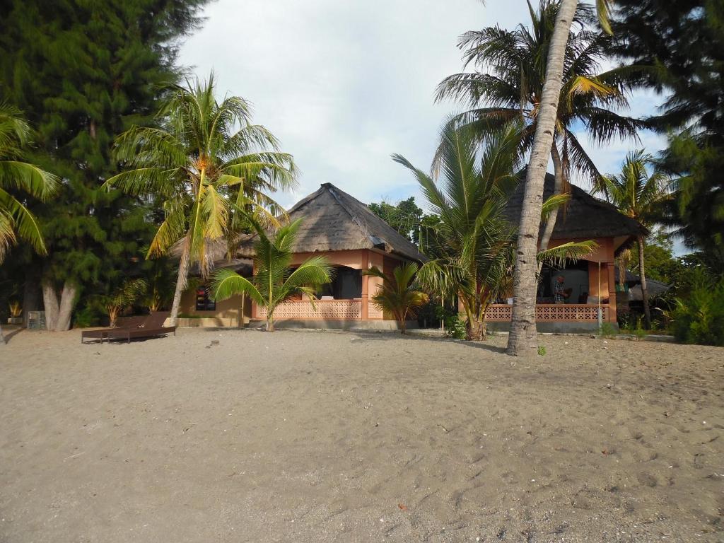 毛梅雷海洋世界俱乐部海滩潜水中心度假村 的棕榈树海滩上的房子