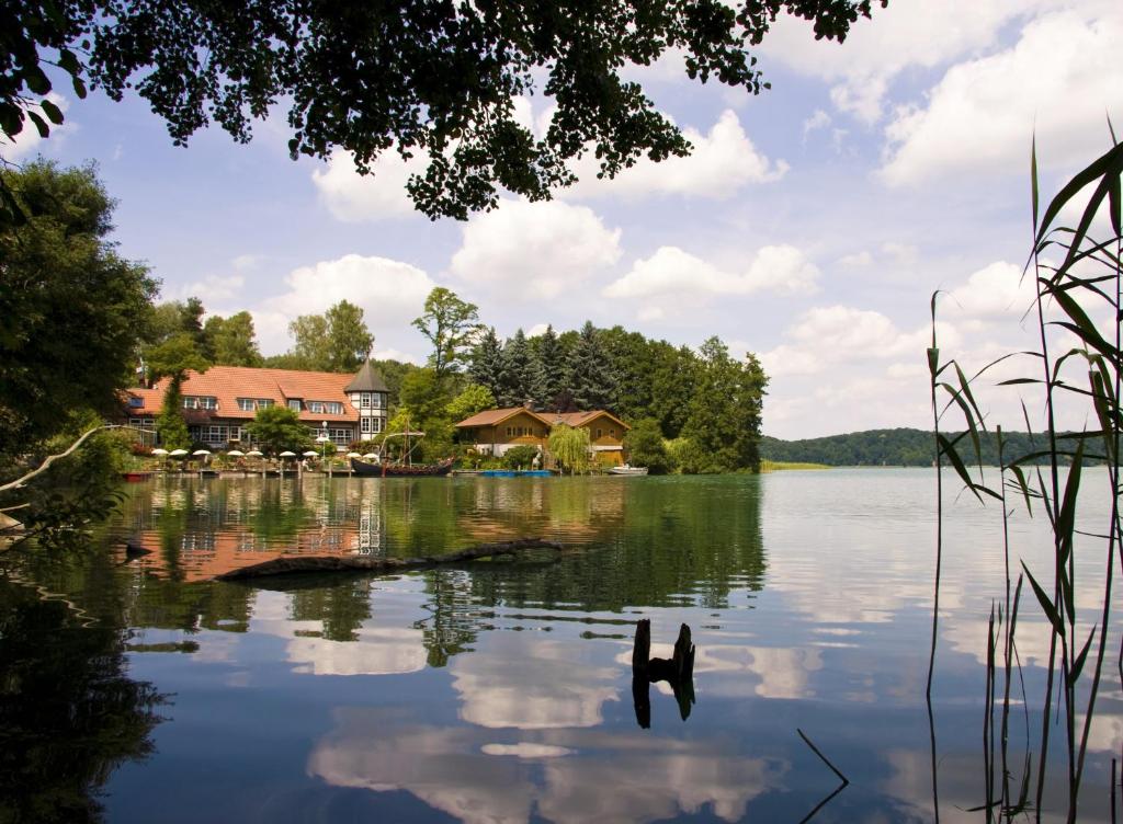 费尔德伯格浪漫希盖斯特霍夫及阿尔特斯措尔豪斯酒店的享有带房屋和树木的湖泊美景