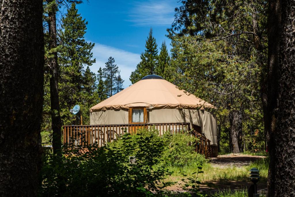 森赖弗Bend-Sunriver Camping Resort 24 ft. Yurt 16的森林中的一个蒙古包
