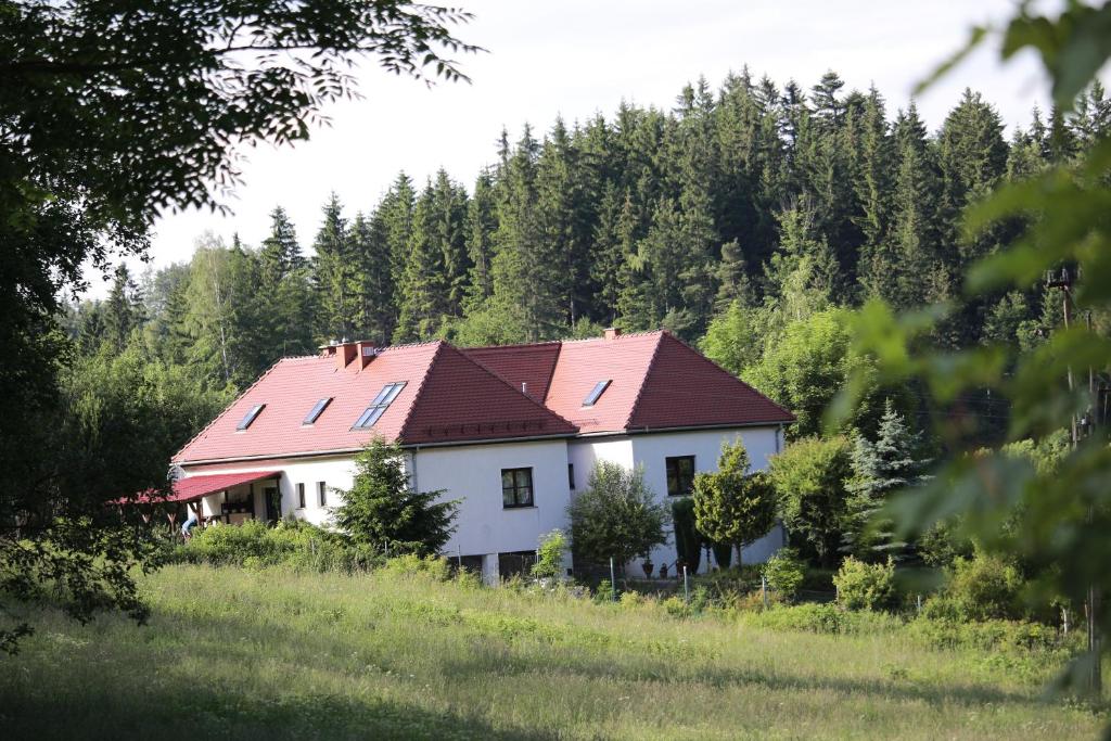 杜什尼基-兹德鲁伊Dom Supełek的森林中一座白色房子,屋顶红色