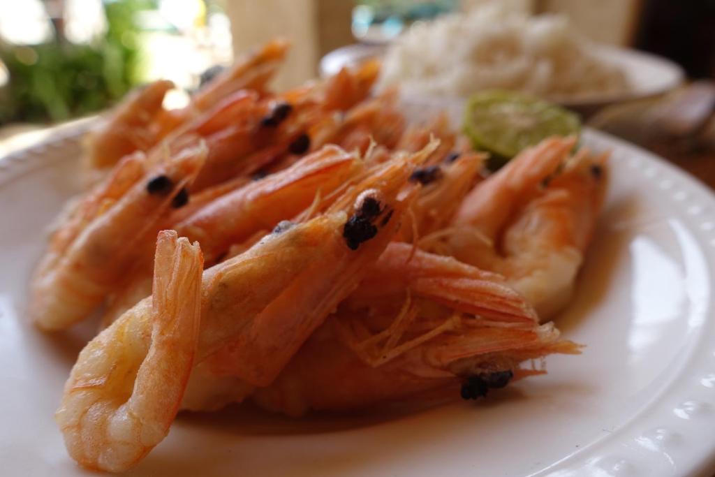 姆布尔科尔玛拉克斯酒店的上面有虾的白盘食物