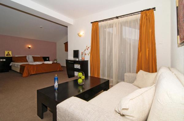 里巴里卡Spa Hotel Planinata的客厅配有沙发和1张床