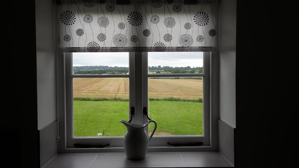 佩特沃斯基尔沙姆农场住宿加早餐旅馆的坐在窗户上的花瓶,眺望着田野