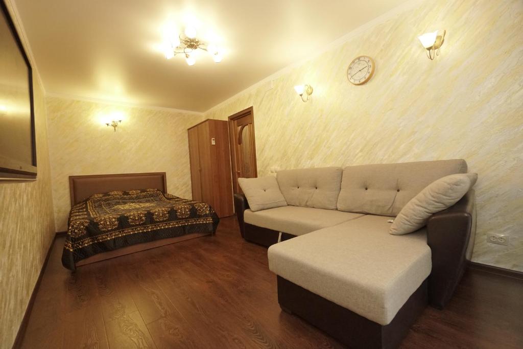 热列兹诺沃德斯克Lenina 1G Apartment的客厅配有沙发和1张床