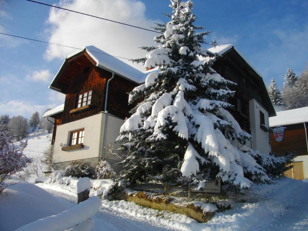 Schöder加昂尔旅馆的房子前的雪覆盖的圣诞树