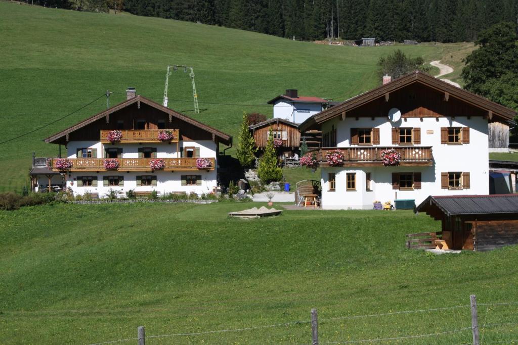 拉姆绍Fronwieshäusl Gschoßmann Herbert的一座带绿地的山丘上的大型房屋