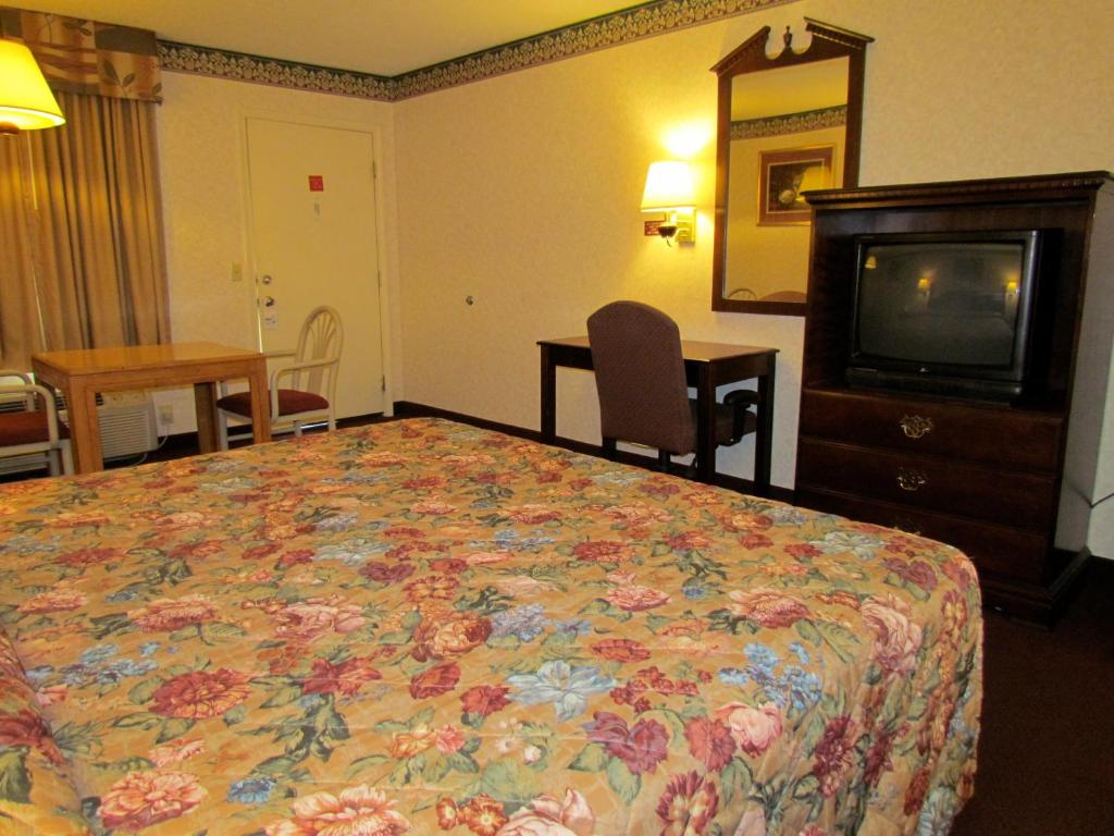 萨姆特萨姆特老鹰汽车旅馆的酒店客房,配有床和电视