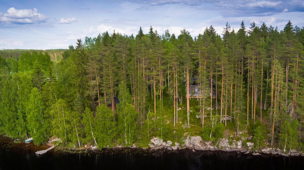 凯乌鲁Mustikkakallio Luxury Villa的享有大林林的空中景色