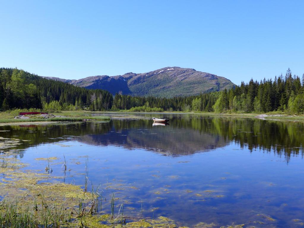 Velfjord维尔佛德露营&小屋度假屋的山上的湖上的小船