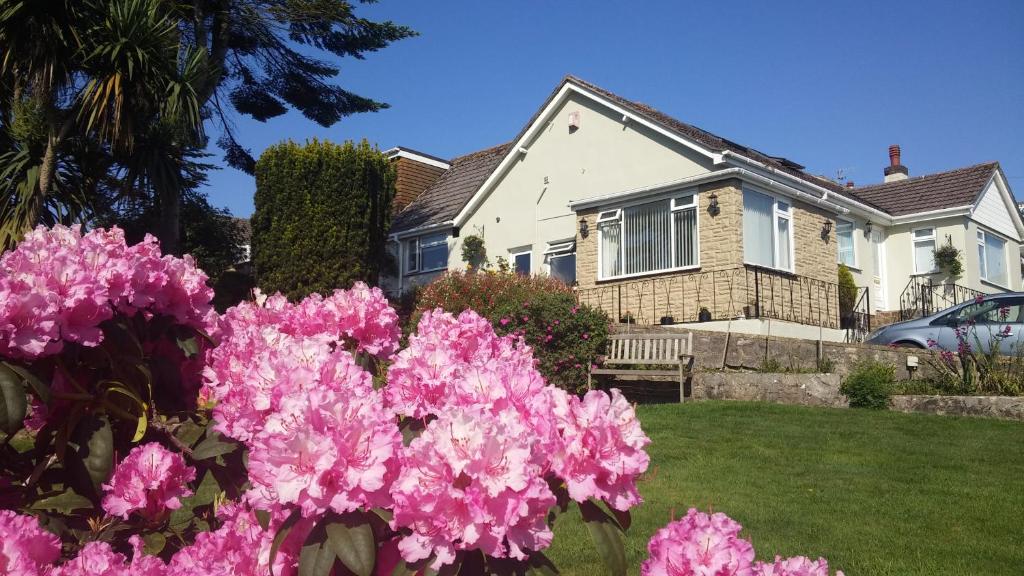 布里克瑟姆Churston Way Lodge Guest House的院子里有粉红色花的房子