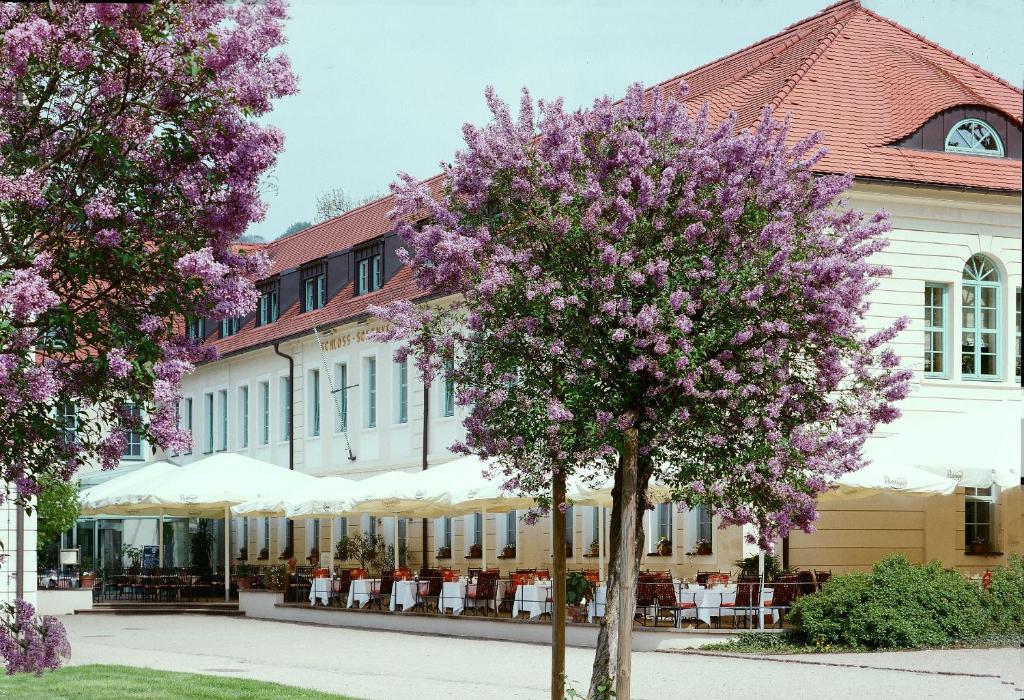 德累斯顿德累斯顿皮尔尼茨城堡酒店的一座建筑物前有紫色花的树