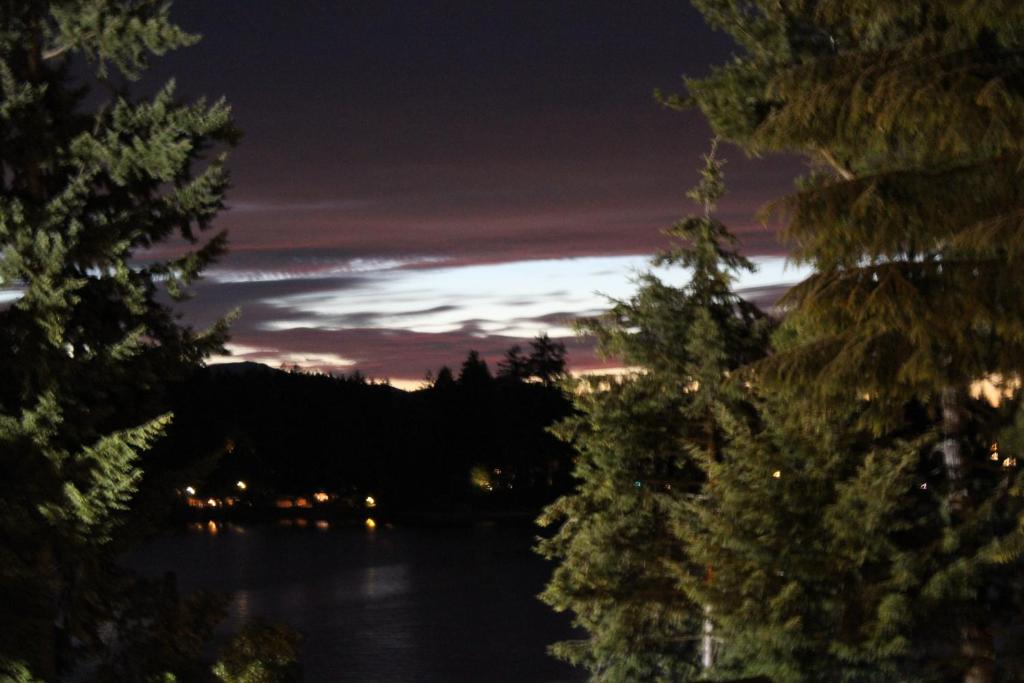 布雷默顿蚝湾旅馆及套房酒店的享有湖泊的夜间树木美景