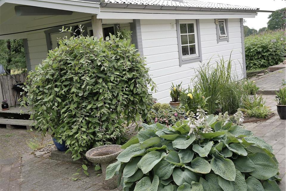 TåstarpGånarps backaväg 39的两棵大绿色植物的房屋
