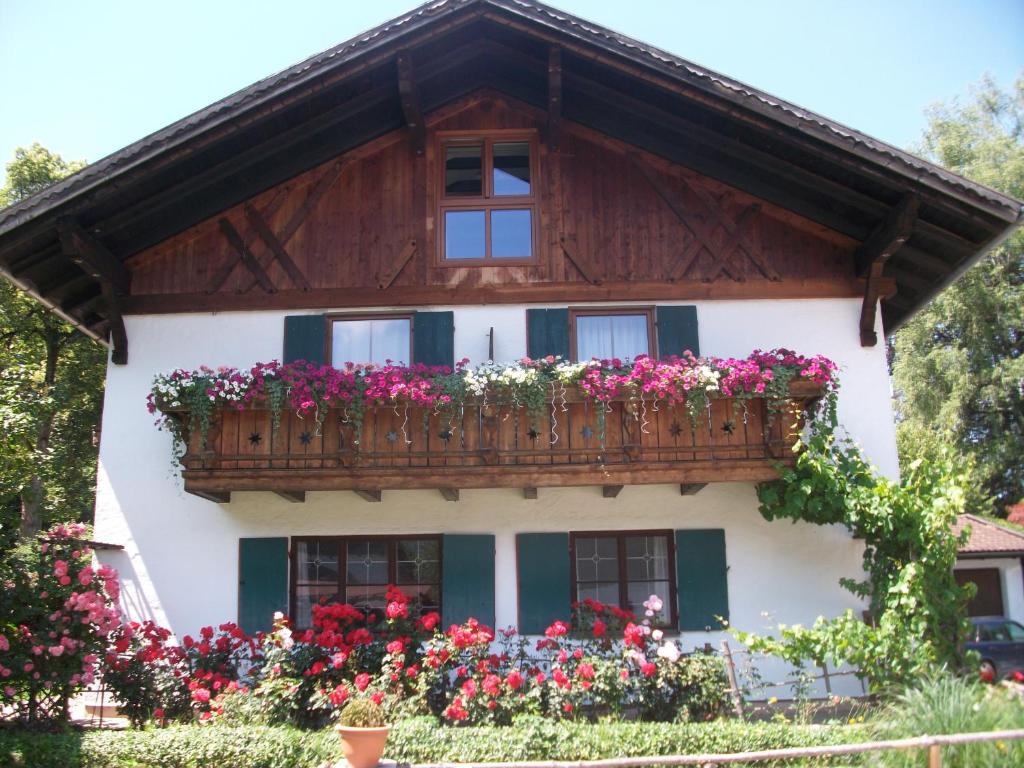 施万高阿尔卑斯玫瑰酒店的阳台上的鲜花房子