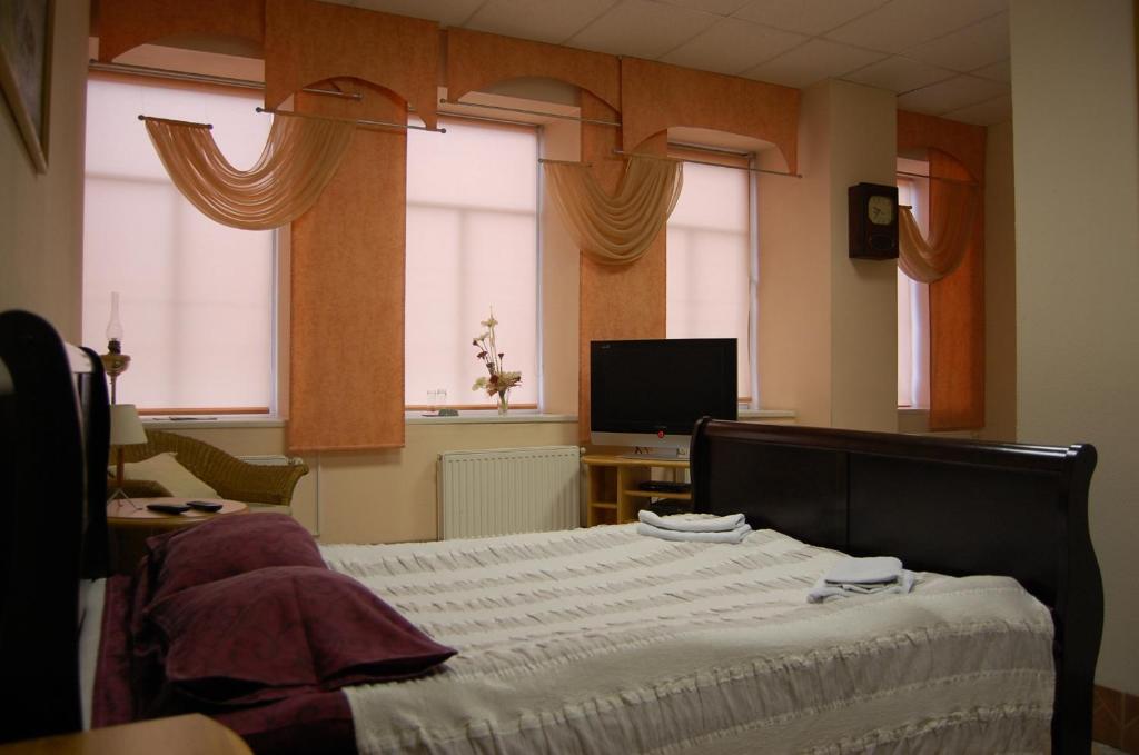 叶卡布皮尔斯卢伊兹酒店的一间卧室设有一张床、一台电视和窗户。