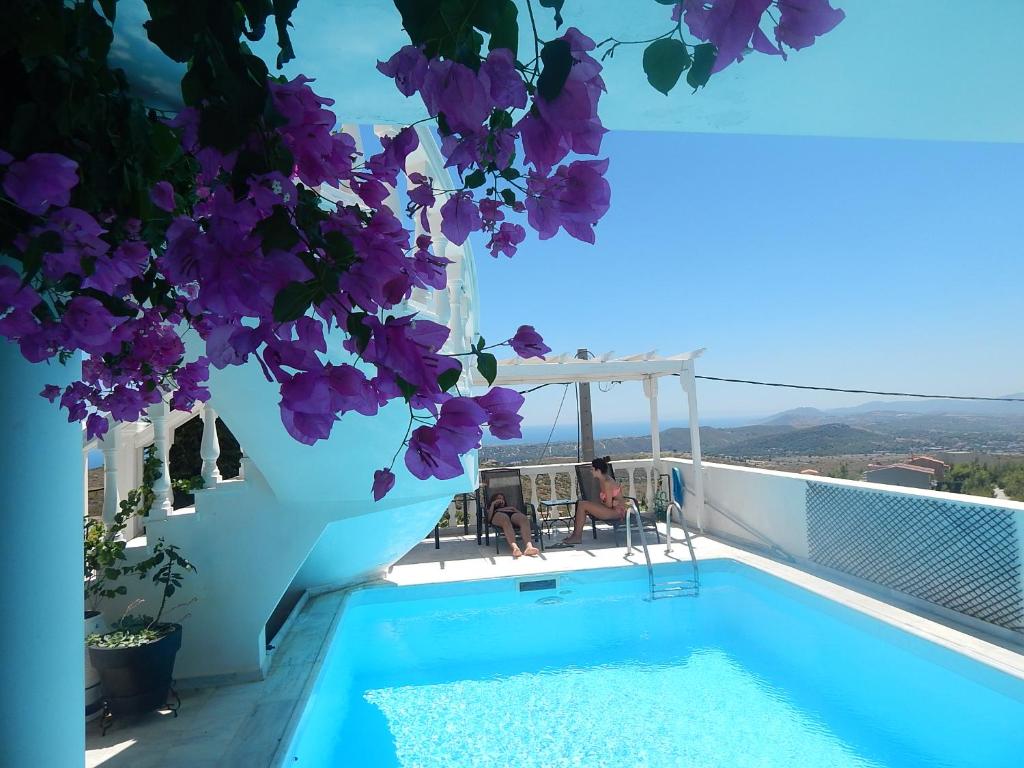 DhráfiPeggy's Villa-House with private pool 25' from Athens Intl Airport的一座带游泳池和紫色鲜花的别墅
