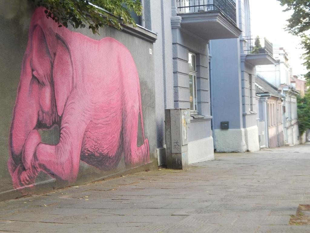 考纳斯ROKO Apartments的建筑物一侧粉红色大象的画