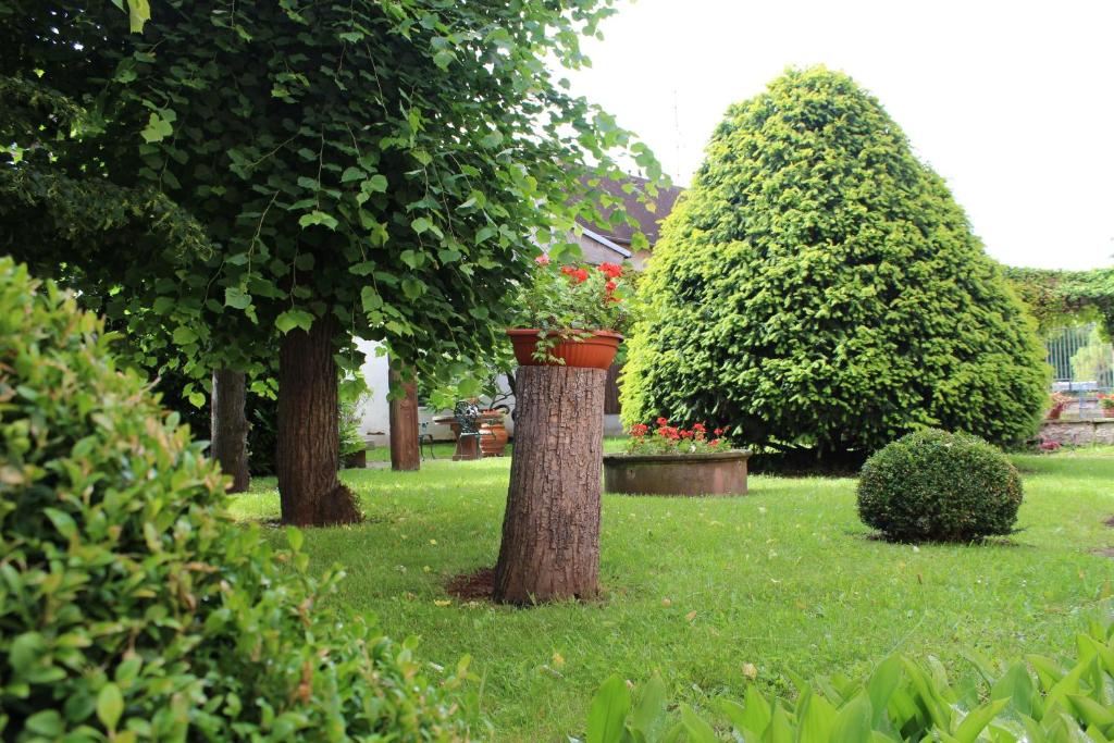 萨维尔纳Le Manoir de l'Abbaye的公园里一棵树上满是花盆