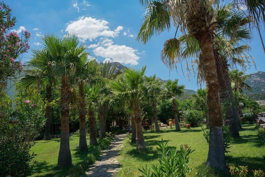 图兰克Maris Butik Hotel的公园里的一排棕榈树