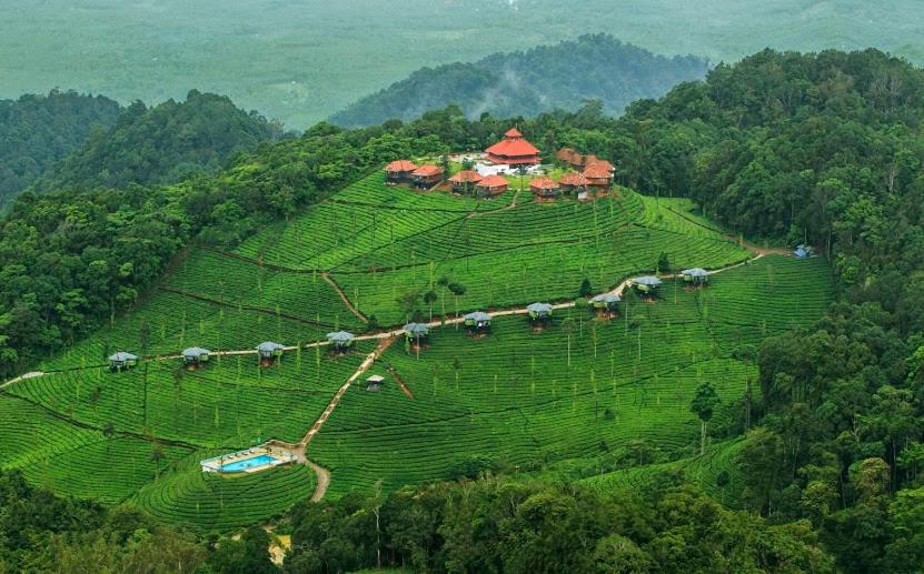 DevālaWild Planet Jungle Resort的山丘上农场的空中景观