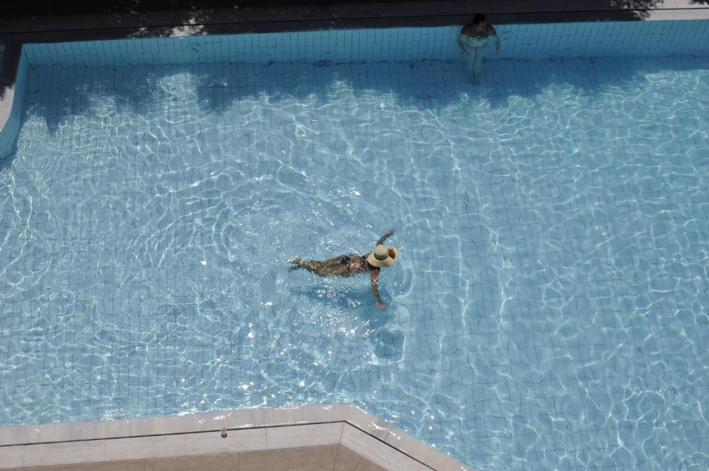 赫索尼索斯Porto Plazza Hotel的在游泳池游泳的人