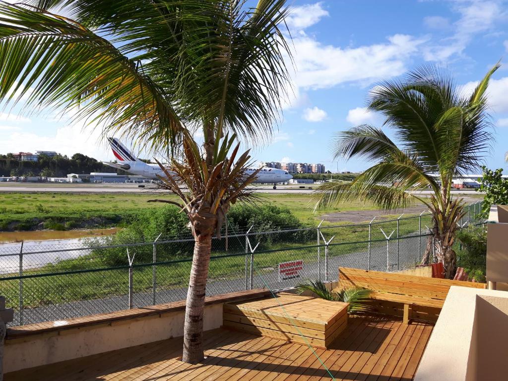 LowlandsSXM指定天堂公寓的机场跑道旁的棕榈树