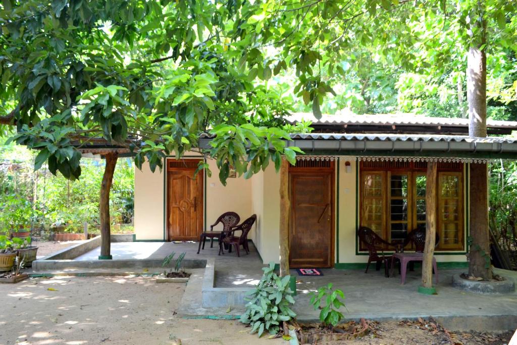丹不拉Sigiriya Freedom Lodge的树下有木门和椅子的房子