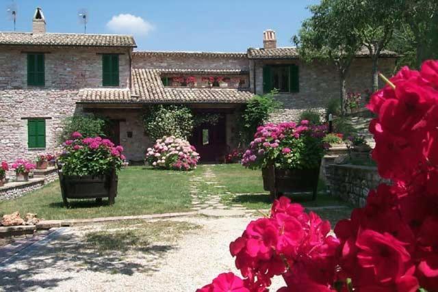 皮亚诺·德勒·皮耶韦L'Oasi的前面有粉红色花的房子