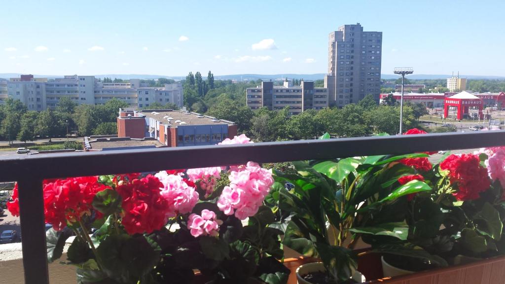 汉诺威LANE City Laatzen的阳台拥有粉红色的鲜花,享有城市美景