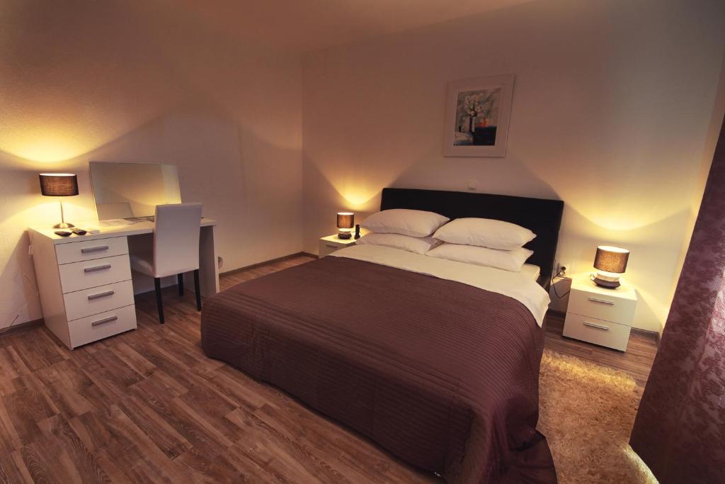 拉科维察乡村公寓的一间卧室配有一张床和一张带两盏灯的书桌。