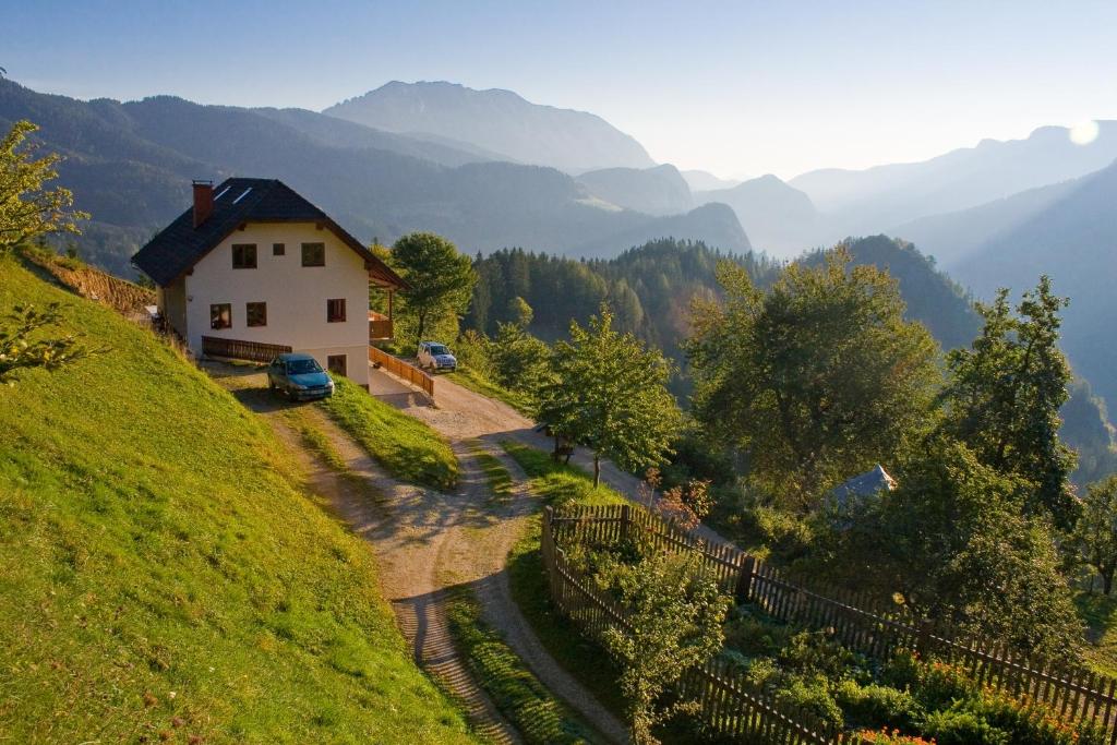 索尔察瓦Turistična kmetija Perk的山丘上以山为背景的房子