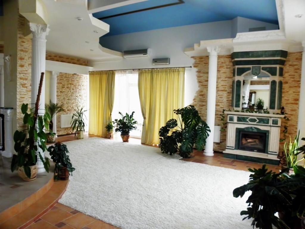 卡缅斯科耶Zolotie Peski的一间带壁炉的大客厅和白色地毯