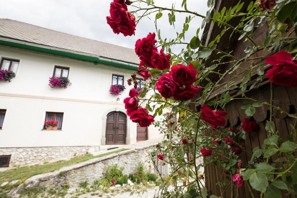 博希尼Turistična kmetija Gartner的建筑物边的一束红玫瑰