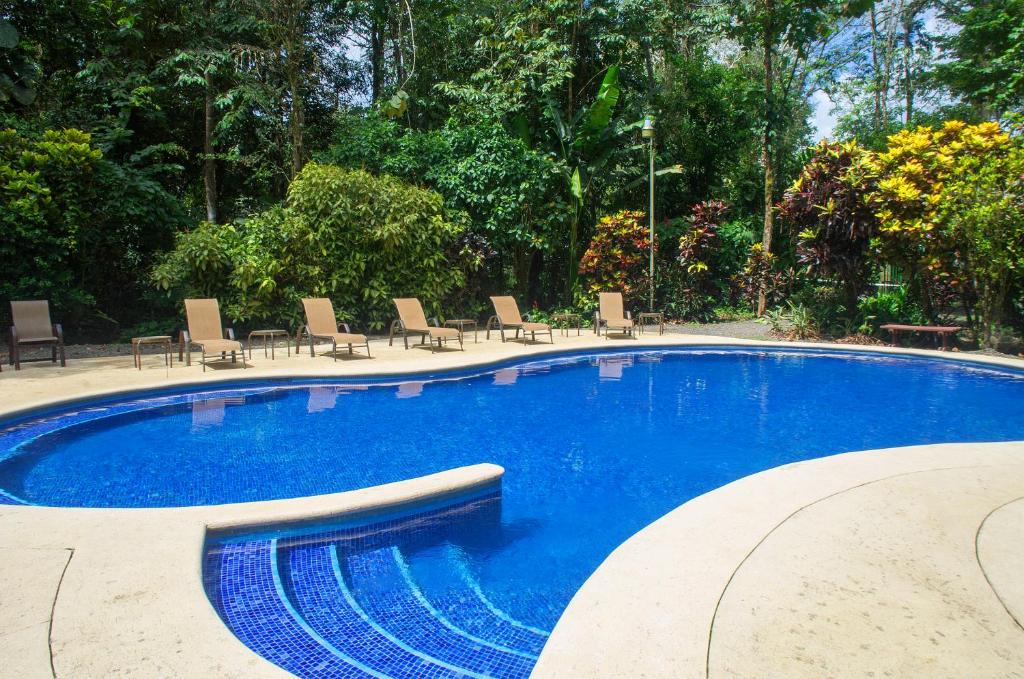 萨拉皮基Selva Verde Lodge的一个带椅子和树木的大型蓝色游泳池