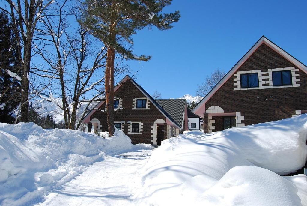 白马村白马高山度假屋的前面有一堆积雪的房子