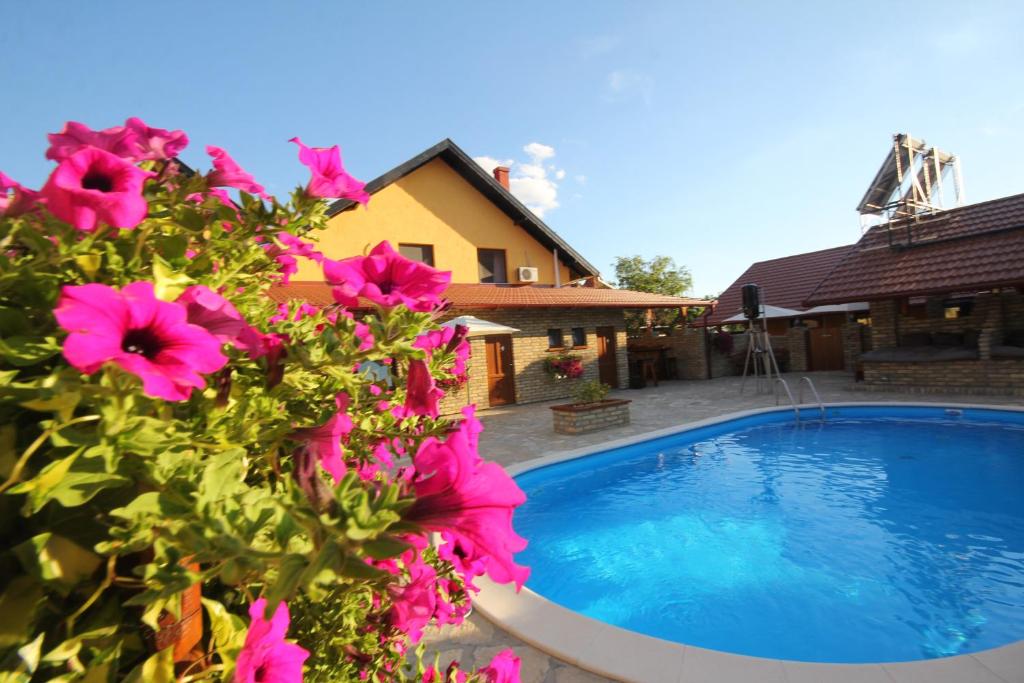 帕利克亚力山大别墅酒店的一座带游泳池和粉红色鲜花的房子