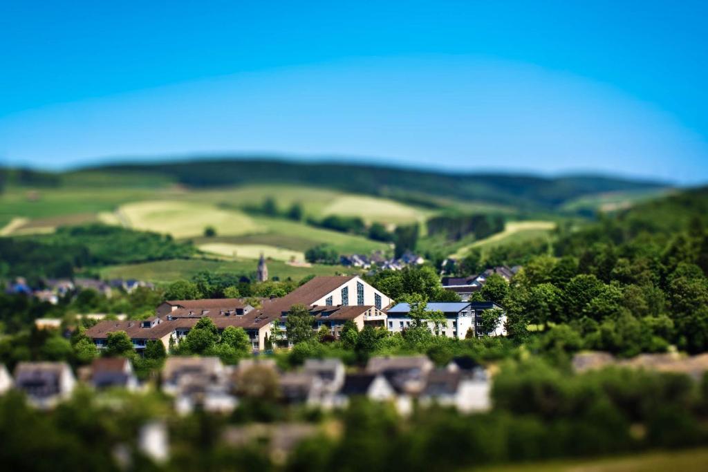 贝斯特维希Bergkloster Bestwig的山丘上的一个村庄,有房子和树木