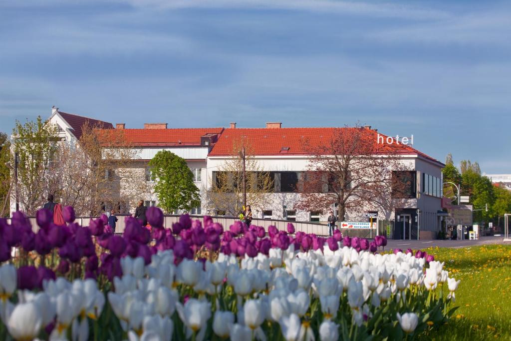 维也纳阿尔特多瑙河海滩酒店的建筑前方的紫色和白色郁金香
