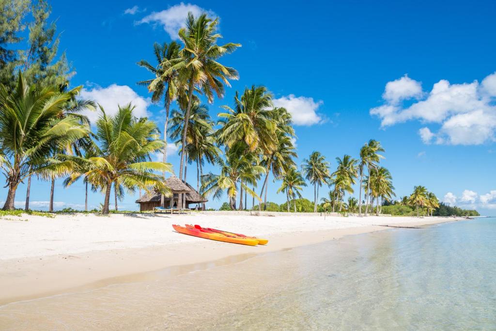 基林多尼Butiama Beach Lodge的棕榈树海滩上的黄色皮艇