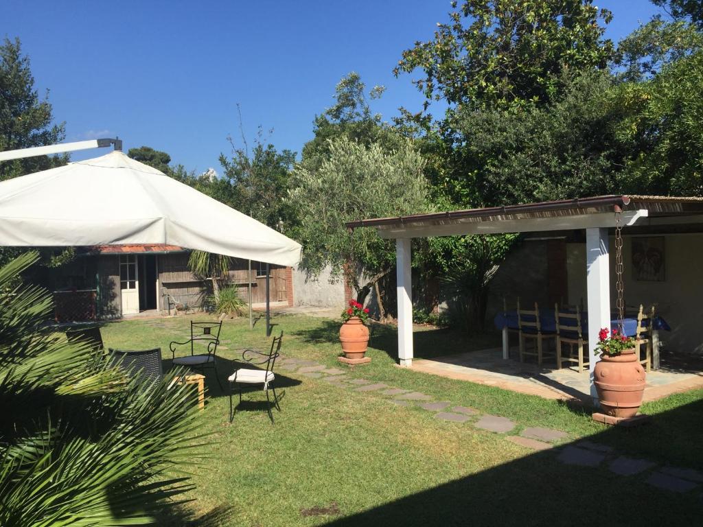 马尔米堡Il Giardino segreto Forte dei Marmi的庭院里设有白色遮阳伞和椅子