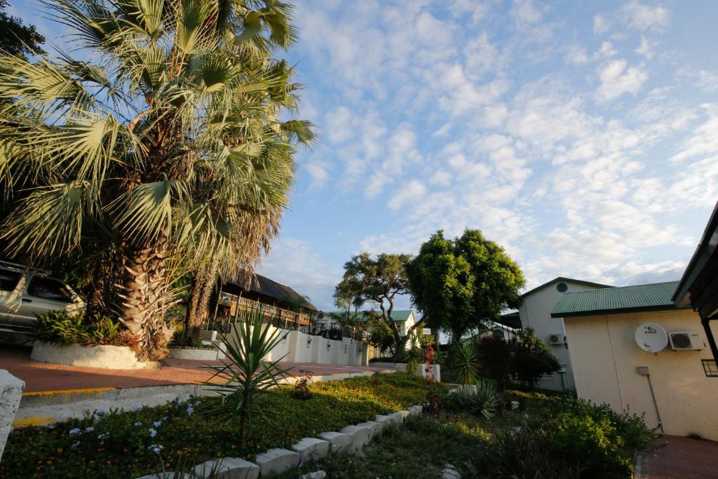 马翁马翁酒店的一座带建筑物的院子中的棕榈树