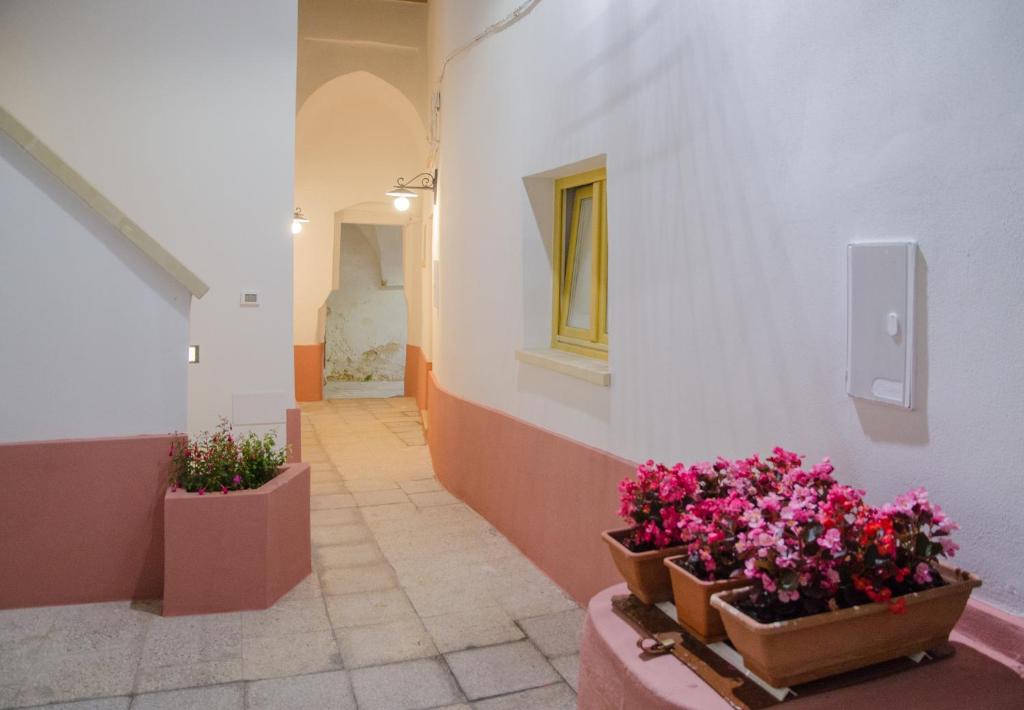 普雷西切Affittacamere Corte Marchese的墙上有两盆花的走廊