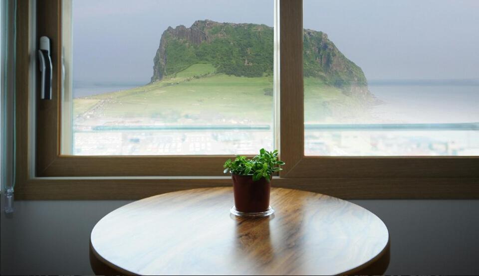 西归浦市西归浦有爱膳食度假屋的坐在窗前桌子上的盆栽植物