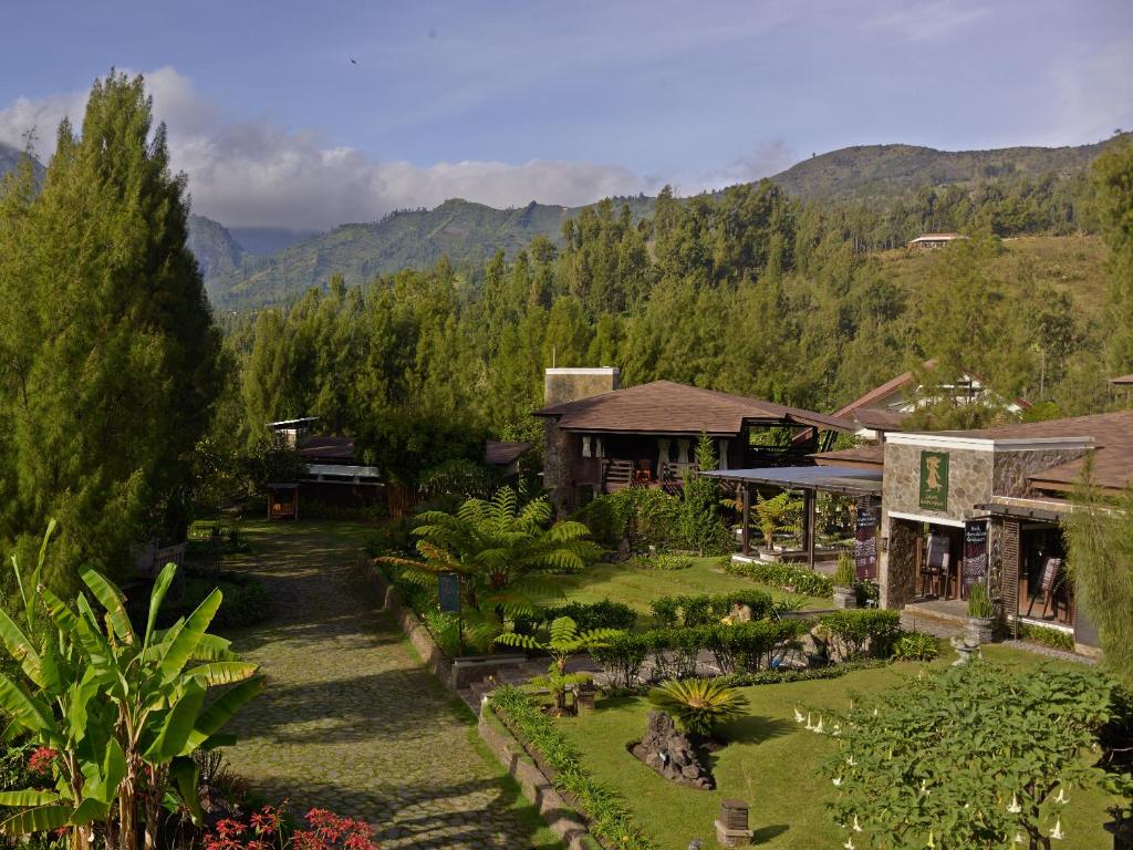 布罗莫爪哇布罗莫吉瓦度假村的享有花园房屋的空中景致