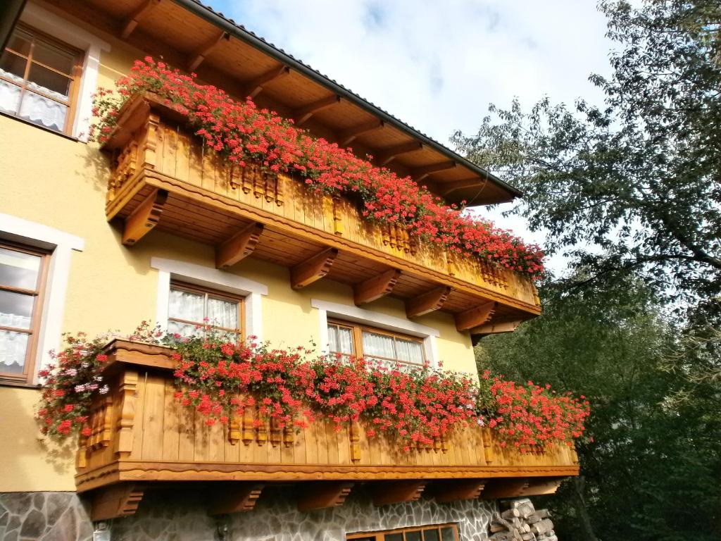 克雷姆尼察Penzión Stefanshof的阳台上的红色鲜花建筑