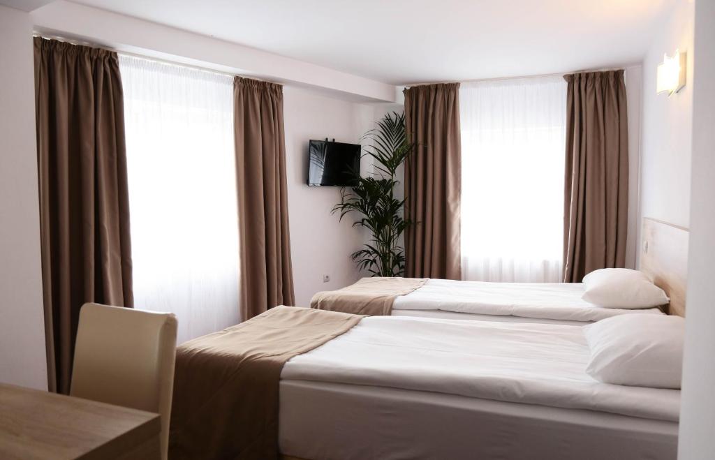 布拉索夫阿波罗尼亚酒店的带窗户的酒店客房内的两张床