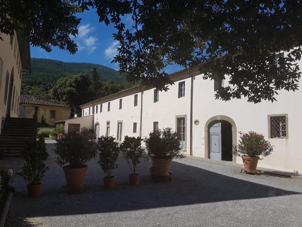 MontaleAgriturismo Il Frantoio Di Colle Alberto的前面有盆栽植物的白色建筑
