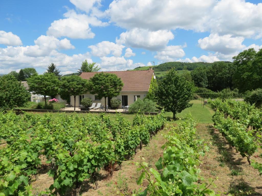 Paris-lʼHôpitalLes Vignes de Paris的一座农场,有房子和葡萄园